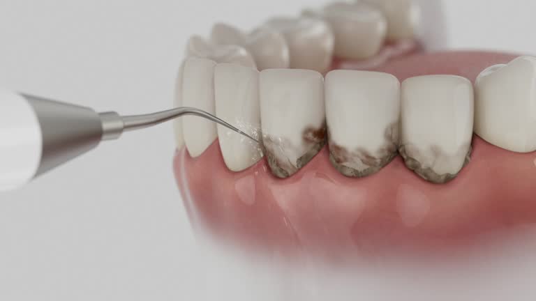 Reliable Dental contractor in Seven Points, TX by Dentist Open Now